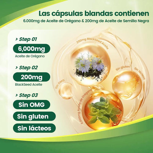 Activa Tu Metabolismo Y Siéntete Más Ligero O Te Regresamos Tu Dinero