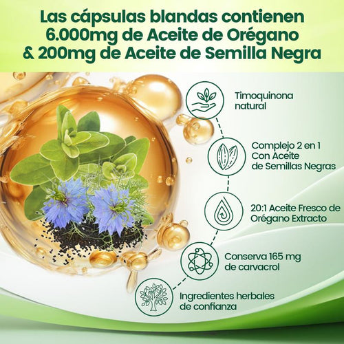 Activa Tu Metabolismo Y Siéntete Más Ligero O Te Regresamos Tu Dinero